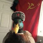 Avatar de Usuario