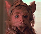 Avatar de Usuario